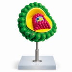 Aids Virus